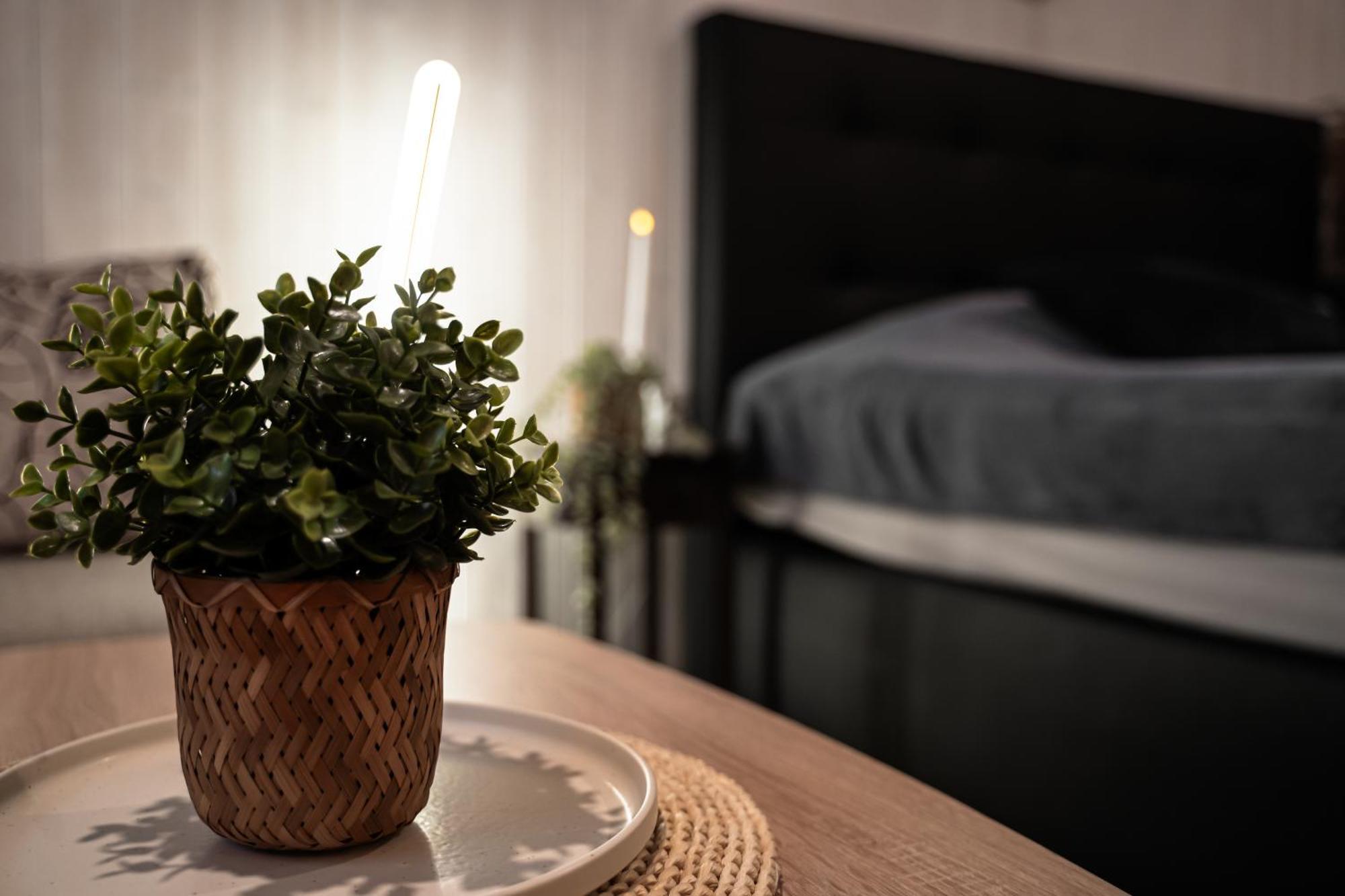 Aare Accommodation Валга Екстериор снимка